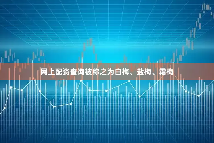 网上配资查询被称之为白梅、盐梅、霜梅