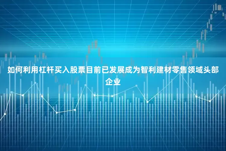 如何利用杠杆买入股票目前已发展成为智利建材零售领域头部企业
