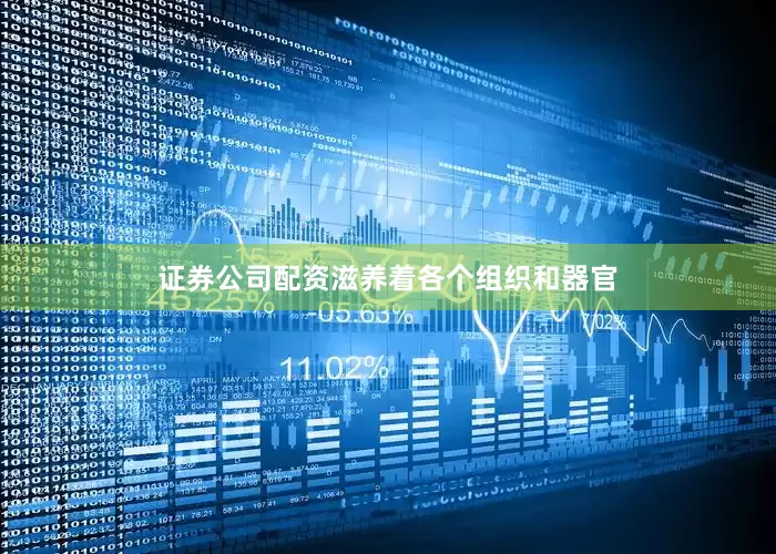 证券公司配资滋养着各个组织和器官